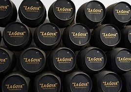 Manzanilla &laquo;La Goya&raquo; de Sanl&uacute;car