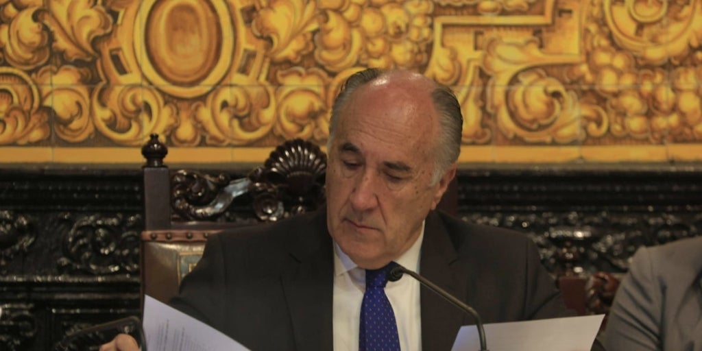 Landaluce anuncia querella contra Rocío Arrabal (PSOE) por delitos de ...