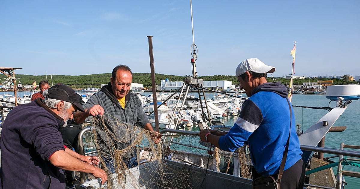 Faenar Los pescadores de Barbate, ahogados por el combustible: «Salir a faenar ...