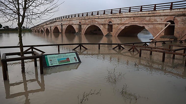 El Gobierno resuelve con retraso las ayudas para paliar en Cádiz los efectos de las borrascas de invierno