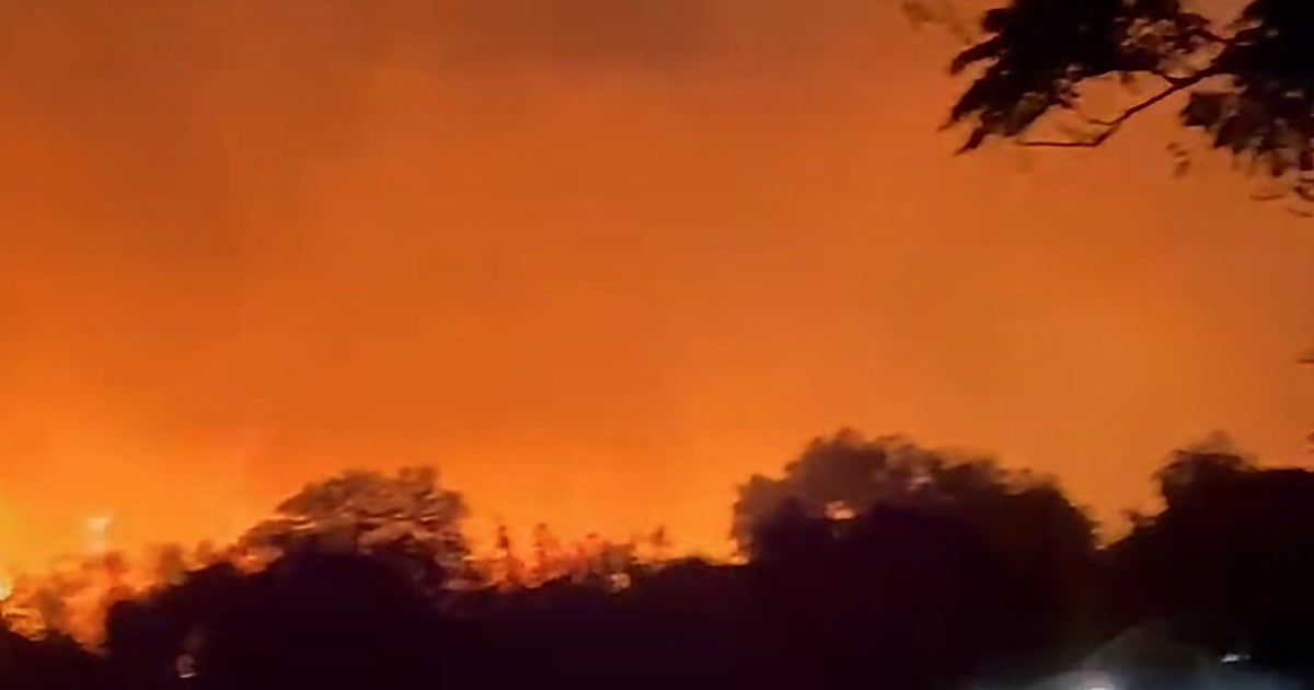 Susto por un incendio en la Base Naval de Rota que obliga a cortar el acceso por la A-2078