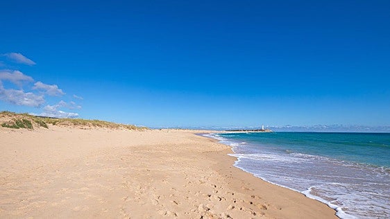 La playa de Cádiz que se queda completamente desierta en septiembre: un paraíso rodeado de naturaleza para despedir el verano en soledad