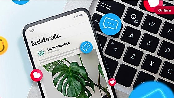 La Cámara de Cádiz ofrece cursos gratis de inteligencia artificial y redes sociales: requisitos y cómo apuntarse