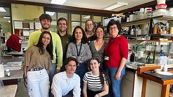 Investigadores de la UCA coordinan un estudio que demuestra el papel clave de unas células poco conocidas en el Parkinson