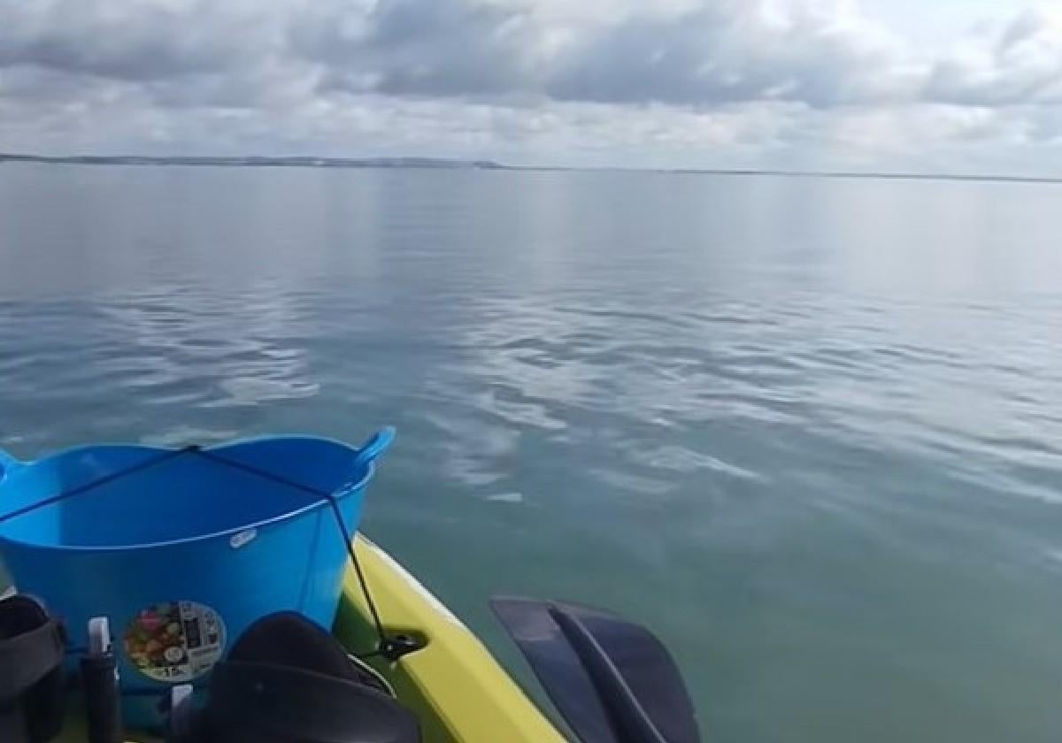Estaba pescando en la Bahía de Cádiz y se encuentra con este animal en el mar