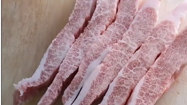 Tiras de secreto ibérico