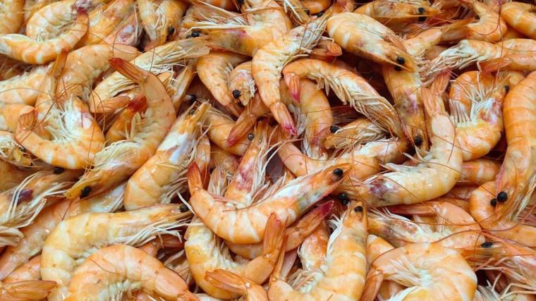 Imagen de una caja de langostinos