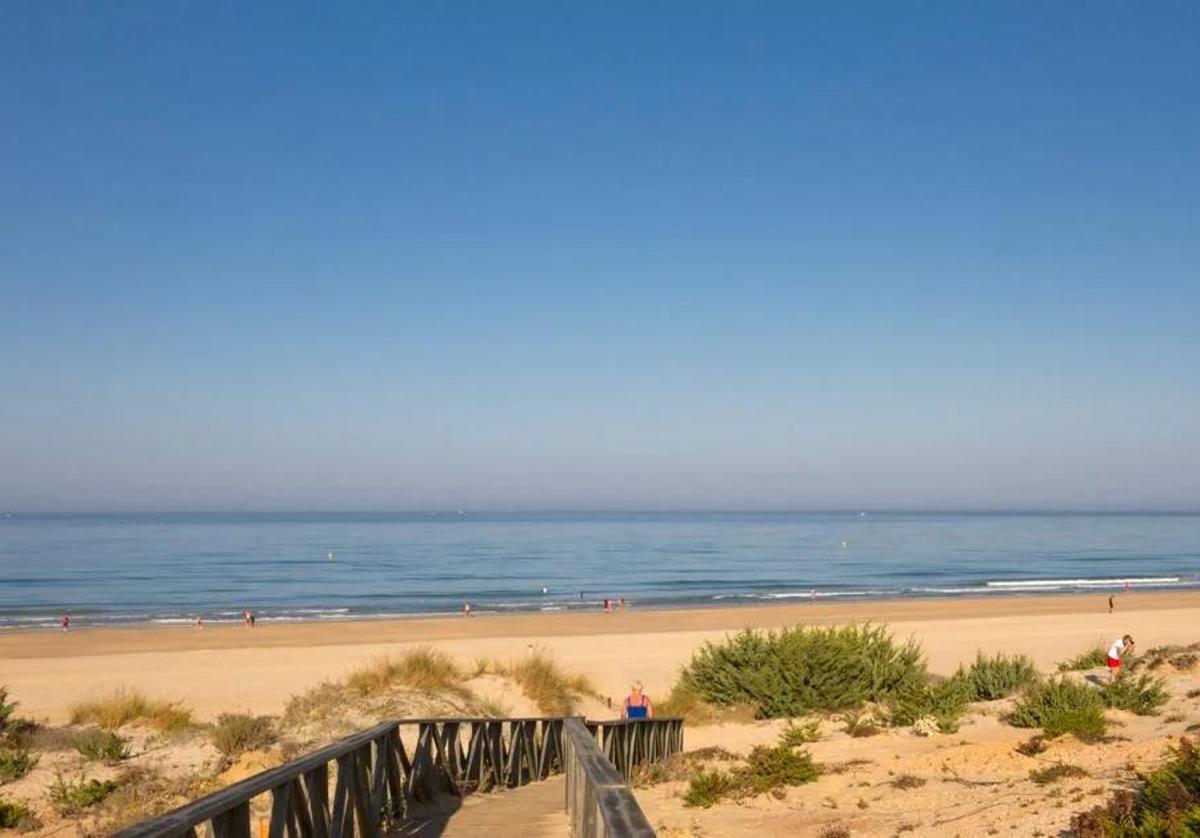 Imagen de la playa de Roche