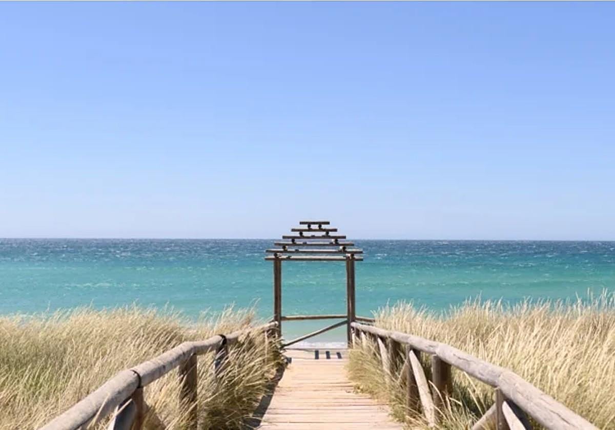 Imagen de la playa de El Palmar
