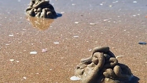 Qué son los 'churros' de arena que puedes ver en muchas playas de Cádiz: este es su curioso origen