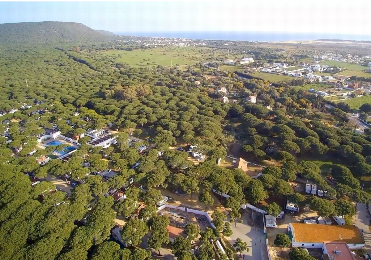 Vista aérea del camping Pinar San José.