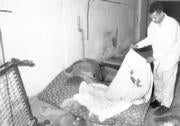 Lucrecia Pérez fue asesinada en una discoteca en ruinas de Aravaca por un grupo de cabezas rapadas. ABC