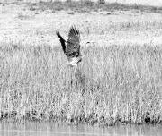 Chester W. Nimitz Jr. y su mujer Joan en una foto reciente. Ap