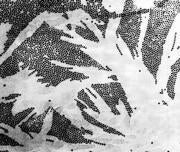 ABCUna de las imágenes seleccionadas del viaje por Nanolandia