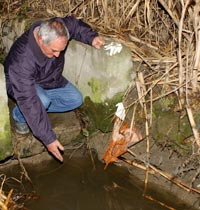 Un pastor encuentra en cadáver de un bebé en una acequia
