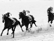 Las carreras de Sanlúcar se celebrarán hasta el jueves. PACO MARTIN