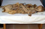 Un estudio de la momia de Sancho de Castilla revela que no murió envenenado