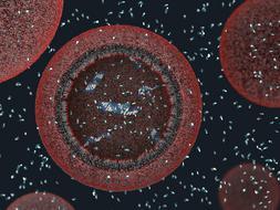 Crean en Harvard células capaces de replicarse a partir de la materia inerte