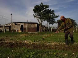 Un agricultor trabaja la tierra en las afueras de La Habana. /AP