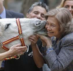 Doña Sofía bautiza a «Lluvia», un burro protegido en peligro de extinción