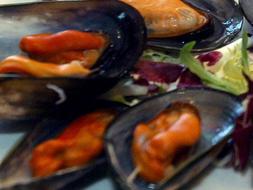 Proliferan mejillones hermafroditas y peces bisexuales en Vizcaya