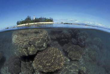 La Gran Barrera de Coral experimenta el menor crecimiento en 400 años