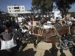 Varios palestinos cargan sus carretas con sacos de harina en un centro de distribución de víveres de la ONU en la localidad de Deir al Balah, en la Franja de Gaza./ Efe