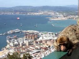 La Roca crece. Tierra andaluza en Gibraltar