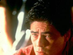 Una mirada misteriosa entre las bolsas