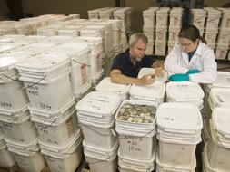 El juez da diez días a Odyssey para devolver las monedas