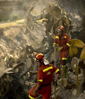 La reactivación del incendio de Las Hurdes obliga a evacuar a 500 personas