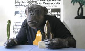 Chita salda cuentas con Jane