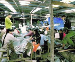 Los esclavos del rubí