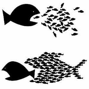 La unión hace la fuerza