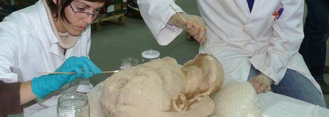 Bílbilis: El imperio esculpido