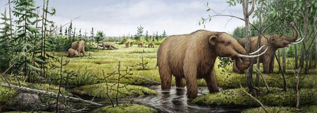 ¿Quién acabó con los gigantes del hielo?