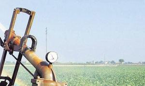 La agricultura consume el 75% del agua|AP