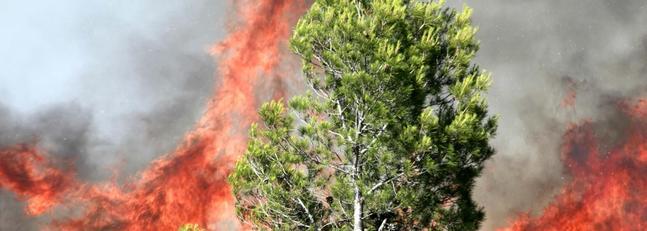 Los agricultores se convertirán en agentes para la lucha contra el fuego