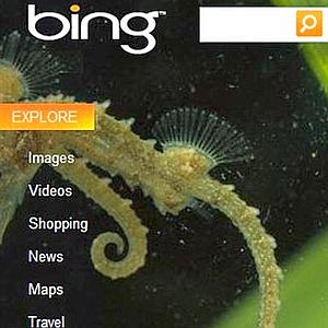 Bing araña posiciones frente a Google