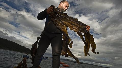 Los rostros del cambio climático