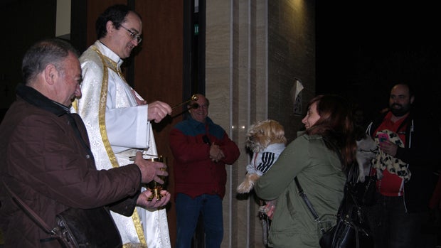 Bendición de animales durante el año pasado