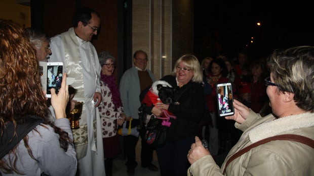 Bendición de animales a las puertas de la Oliva / ABC