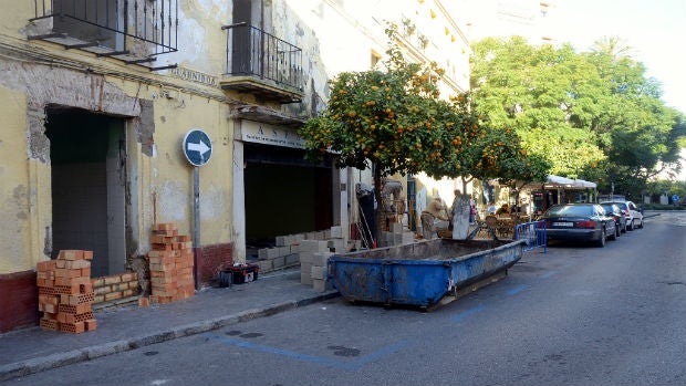 Naranjos en la calle Guarnidos