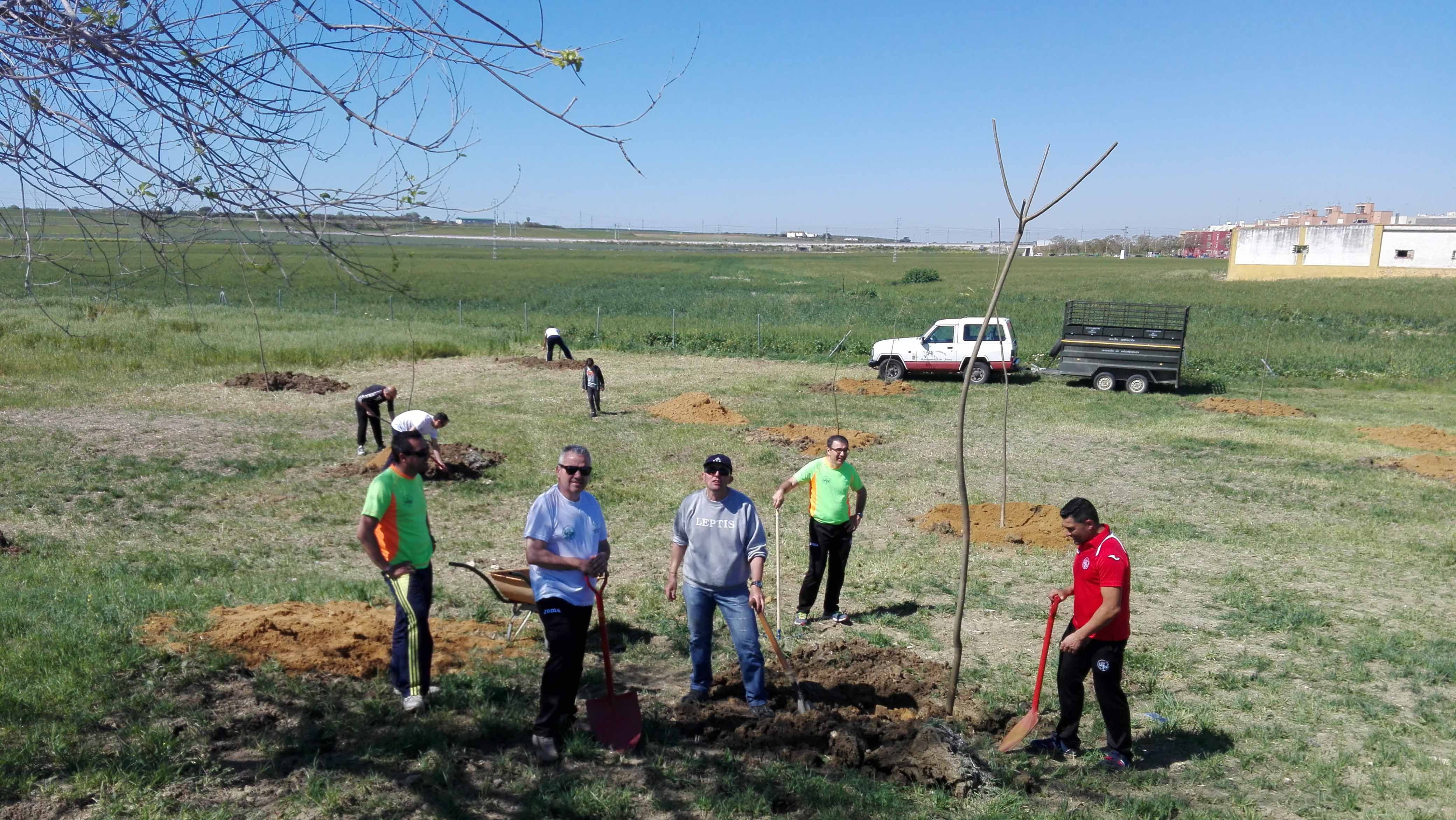 Los miembros de la asociación utrerana en plena plantación