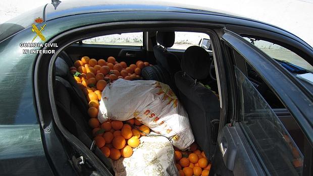 Naranjas intervenidas por la Guardia Civil