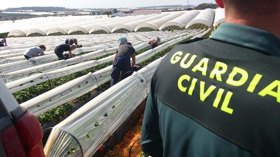 Un agente vigila una finca agrícola