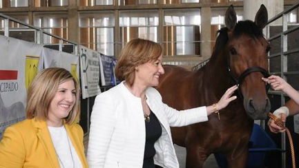 Carmen Ortiz e Irene García admirando un caballo en la inauguración de Equisur