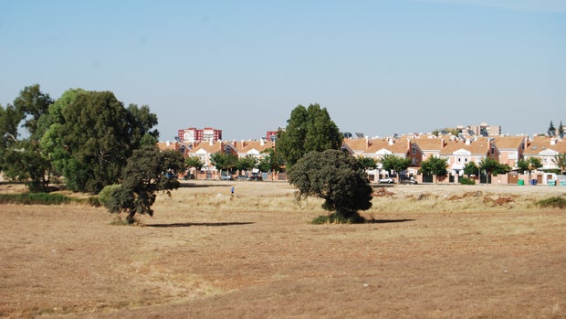 Zona de los futuros huertos urbanos