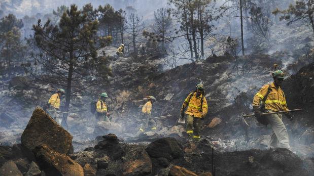 Los miembros del Infoca serán desde hoy bomberos forestales