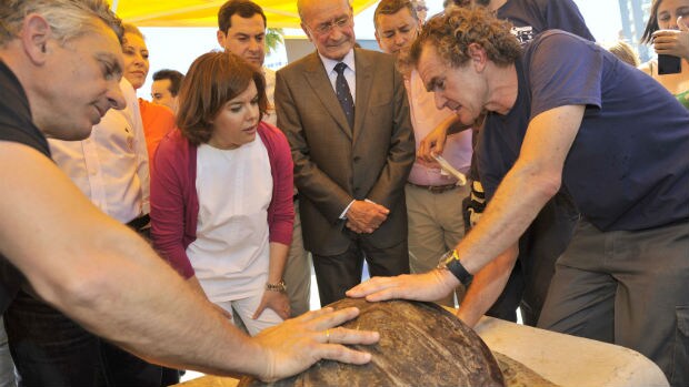 Soraya Sáenz de Santamaría, junto a otras autoridades, observa una tortuga durante su visita a Málaga
